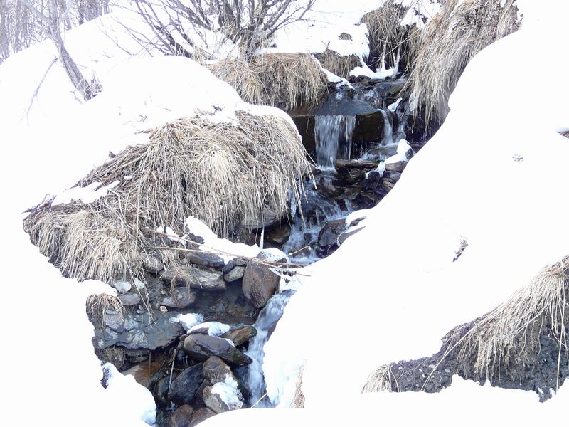 cascade