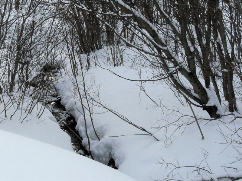 ruisseau