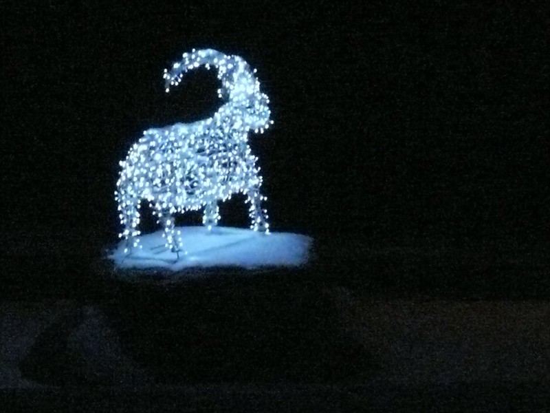 lumiere