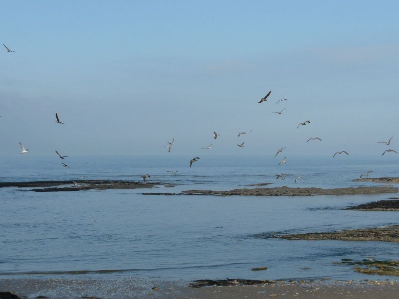 Port en Bessin