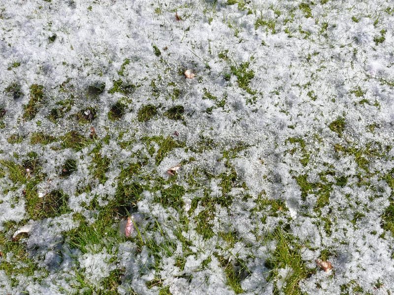 neige