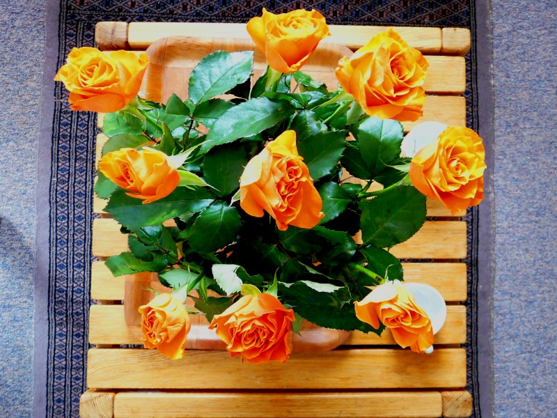 Roses