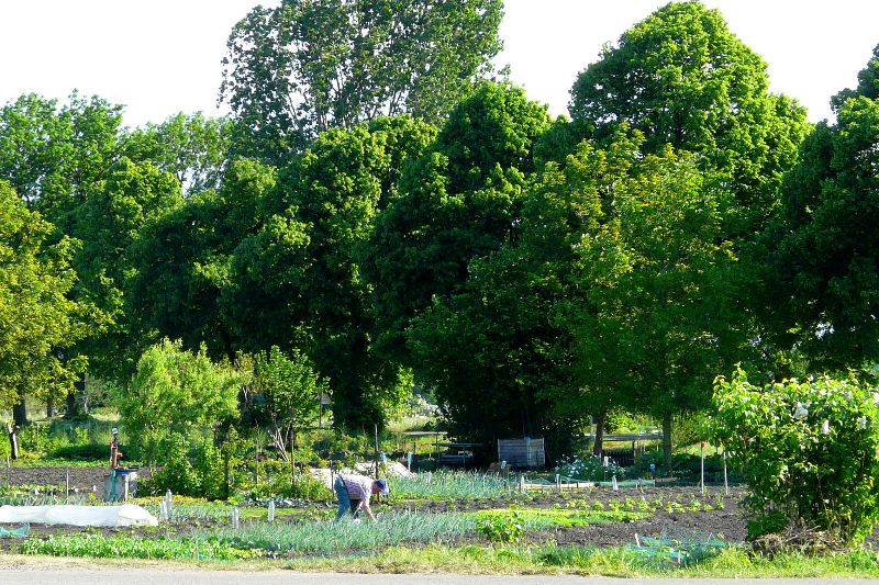 jardins