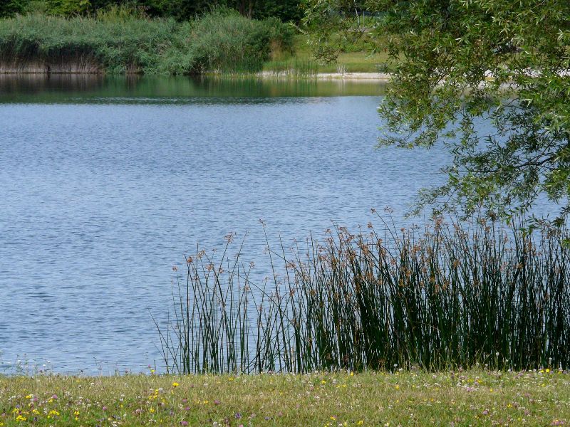 etang