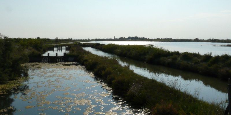 Paysage