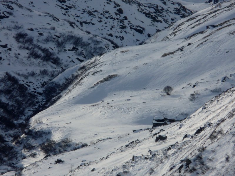 neige