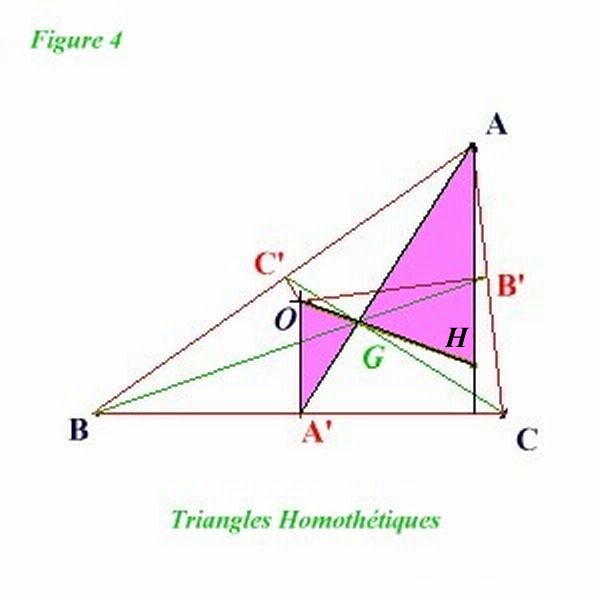 homothtie