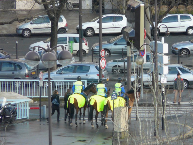 chevaux
