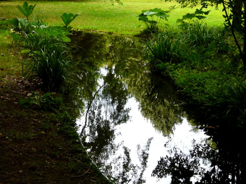 image suivante