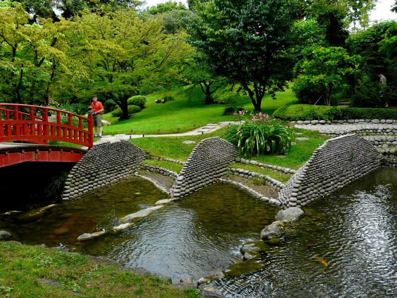 image suivante