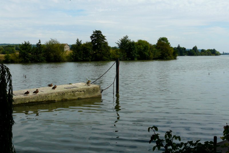 image suivante