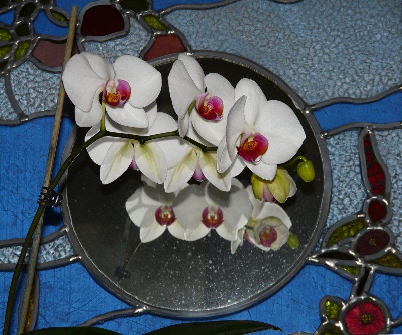 image suivante
