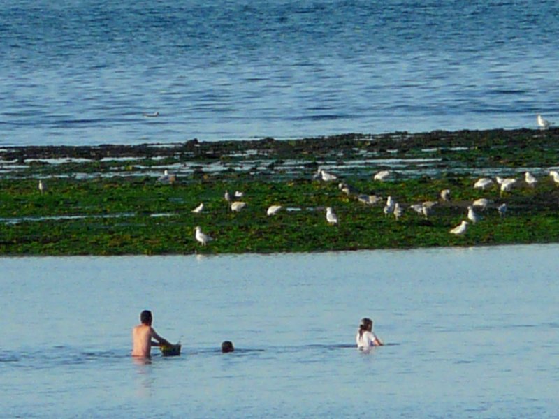 image suivante