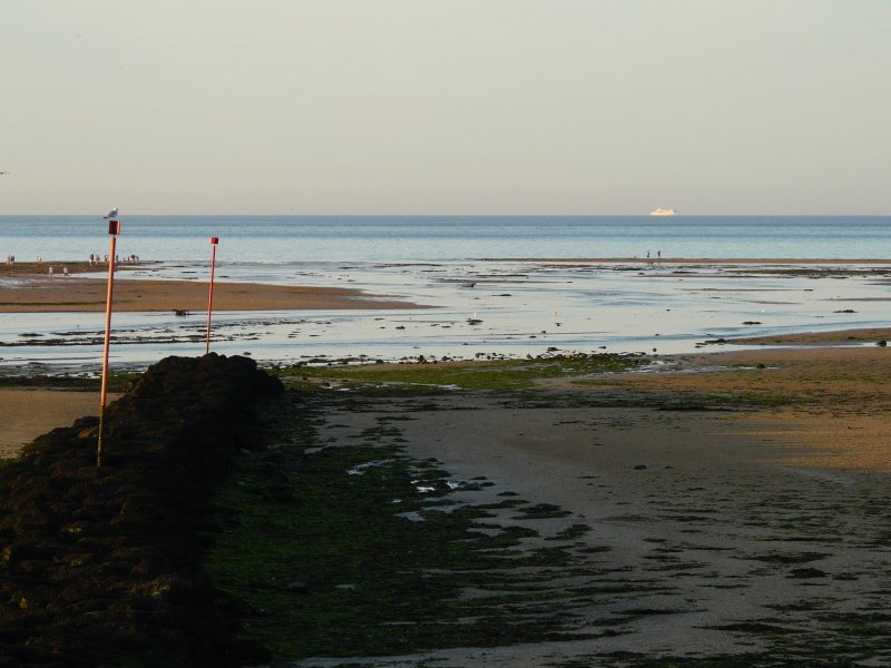 image suivante