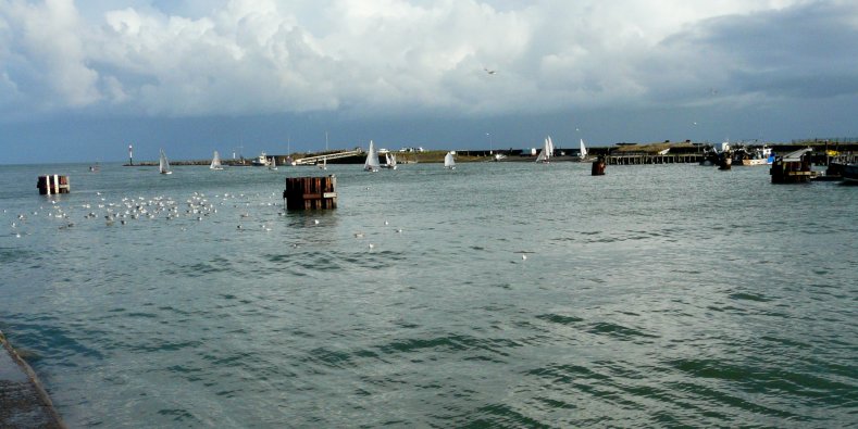 image suivante