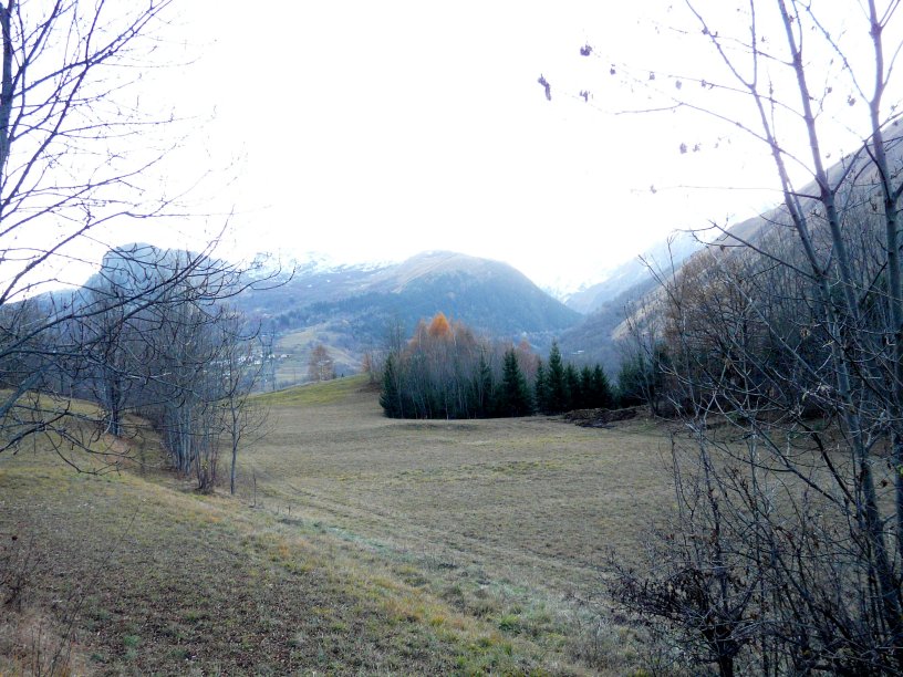 image suivante