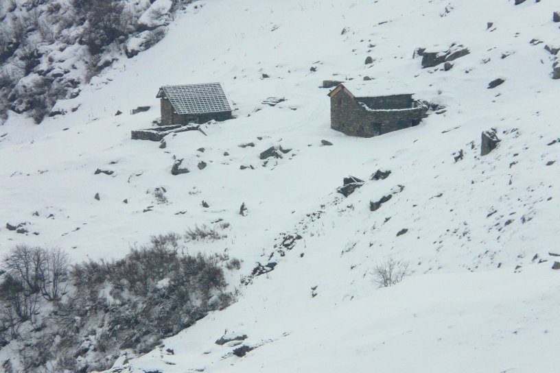 image suivante