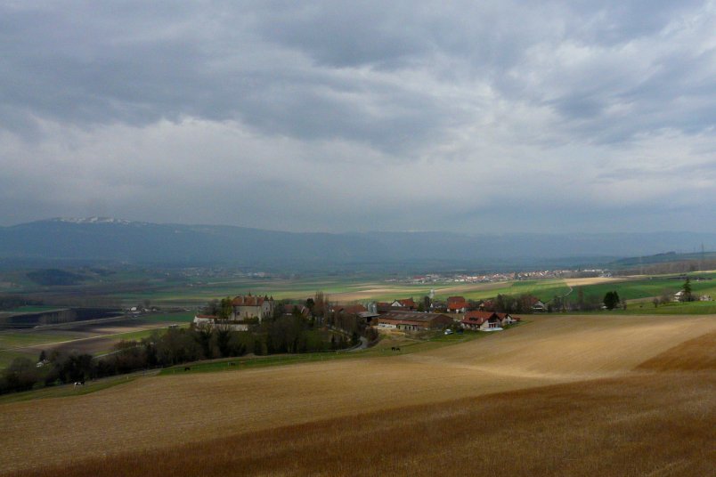 image suivante