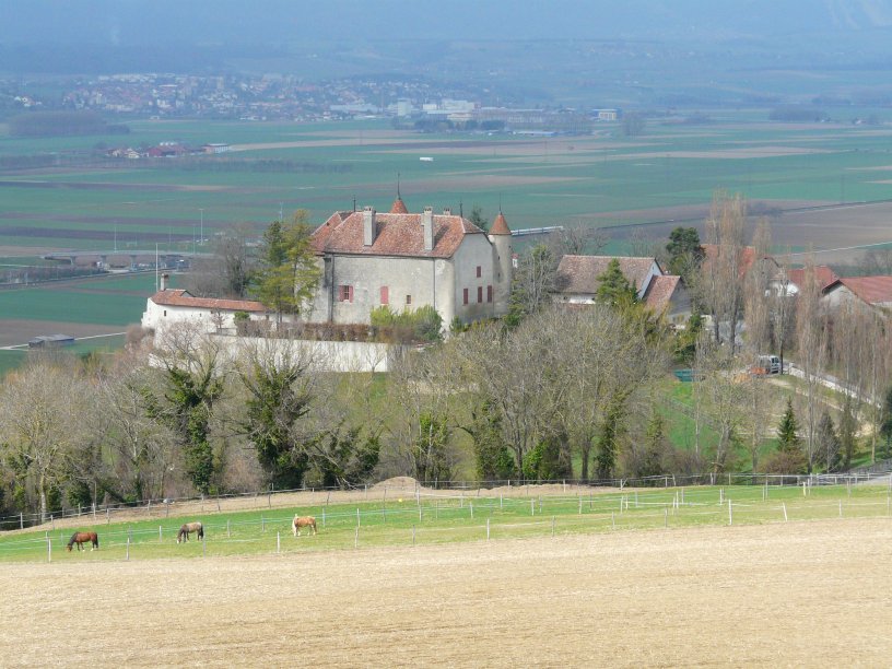 image suivante