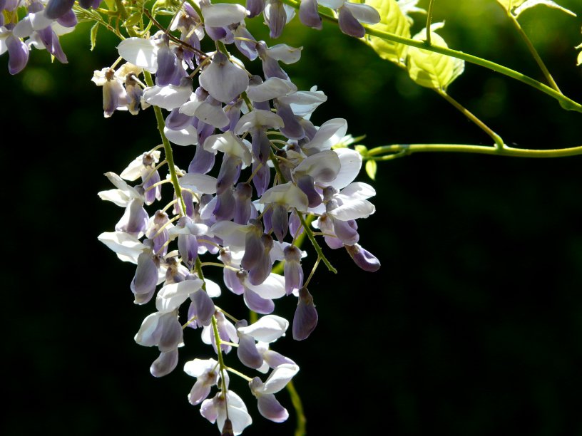 jour pr�c�dent
