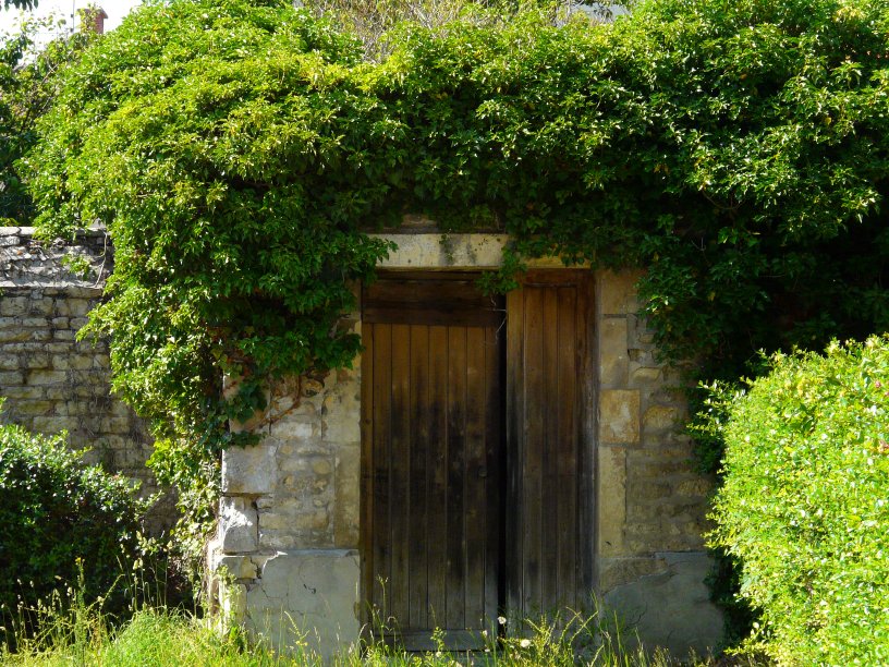 image suivante
