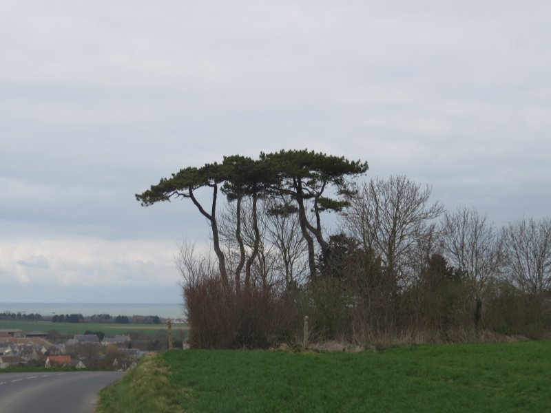 Lumires