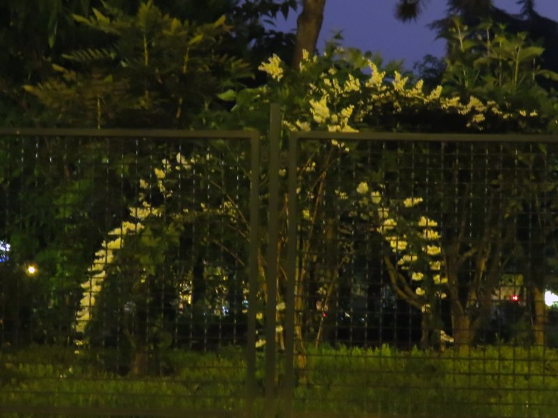 Lumires