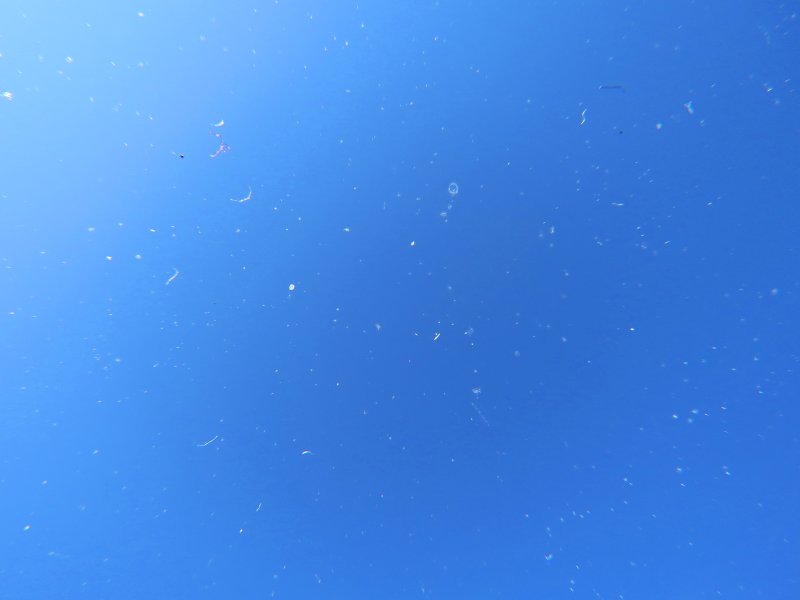 Lumires