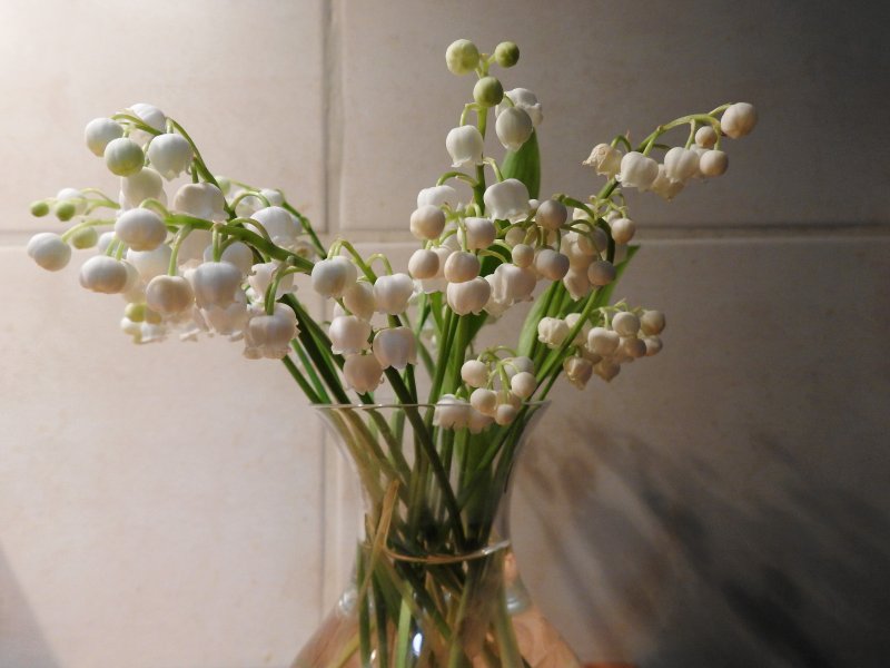 Lumires