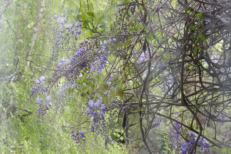 droite