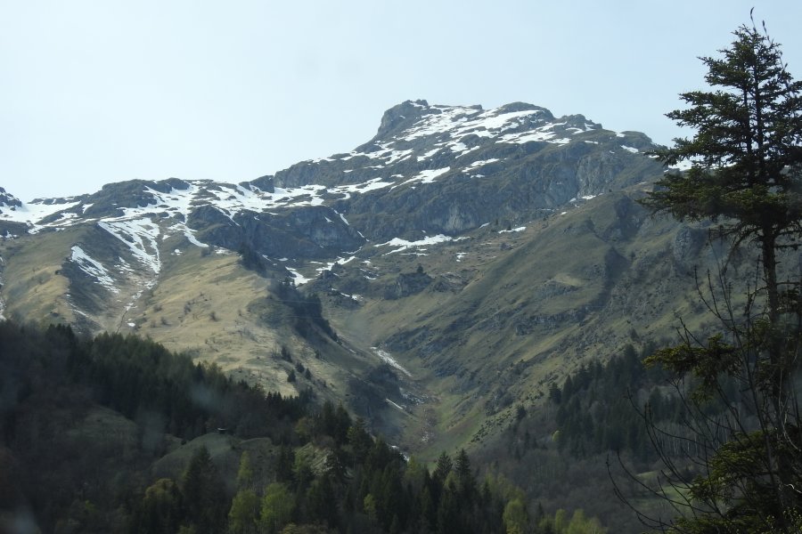 droite