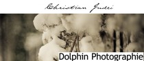 Dolphin-photos