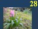 Lumi�res
